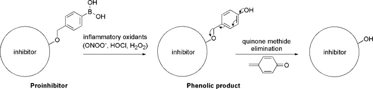 Scheme 2