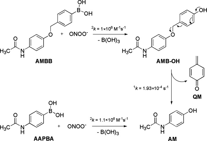 Scheme 4