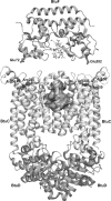 FIG. 1.