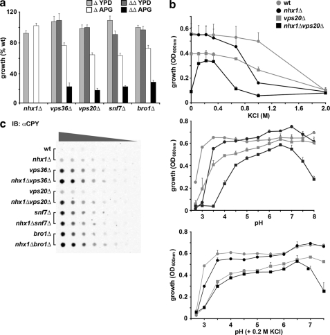 FIGURE 4.