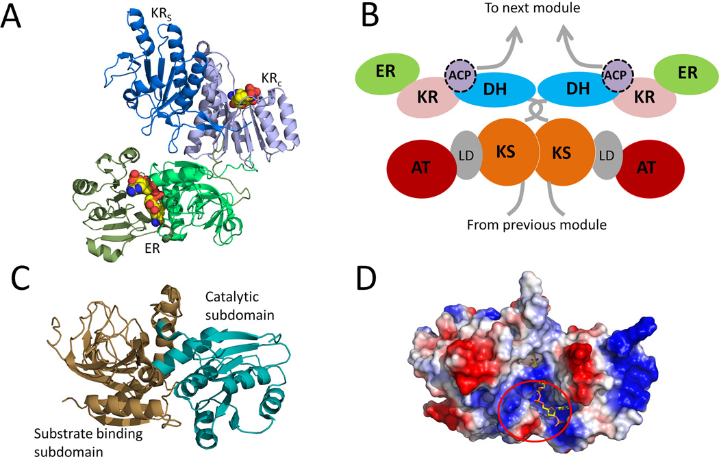 Figure 12