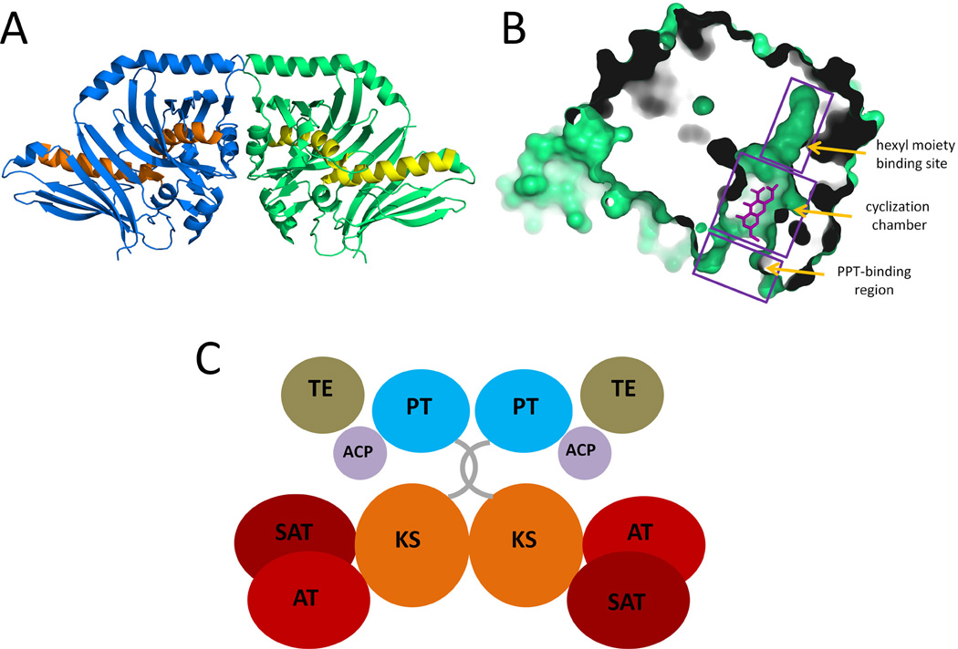 Figure 11