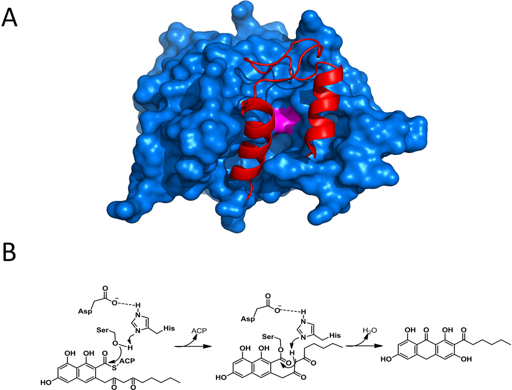 Figure 15