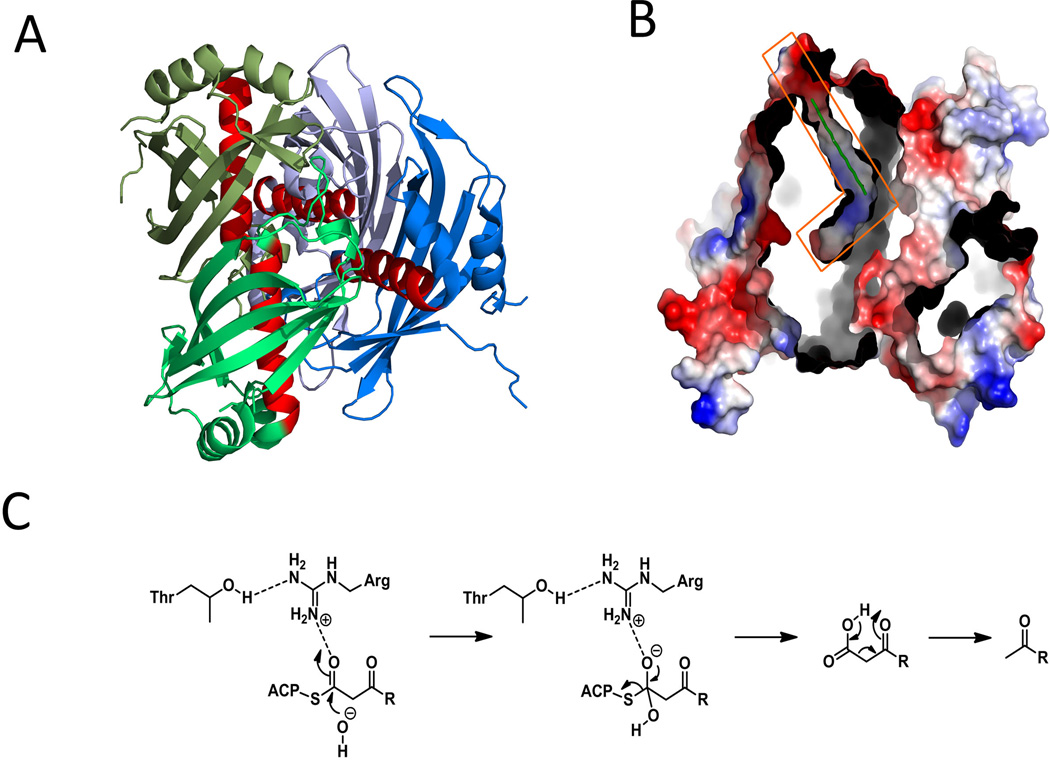 Figure 14