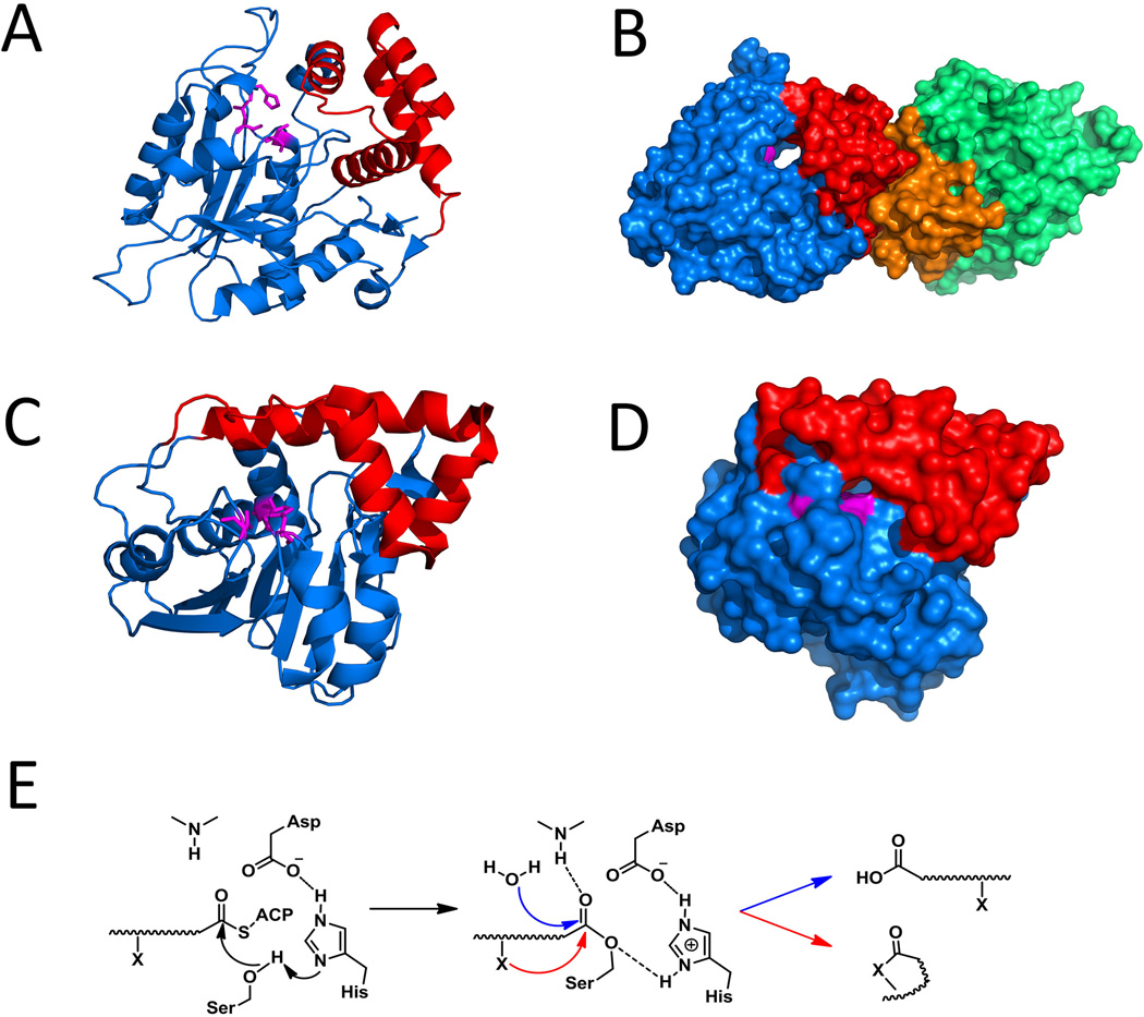 Figure 13