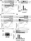 Fig.1