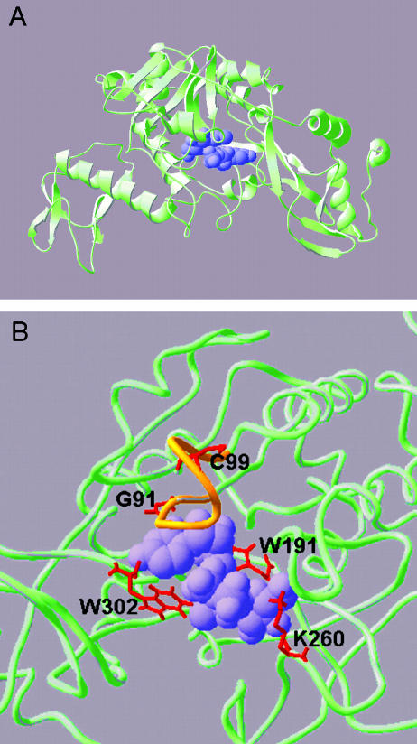 Figure 3.