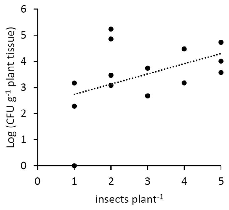 Fig. 6