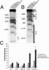 FIG. 6.