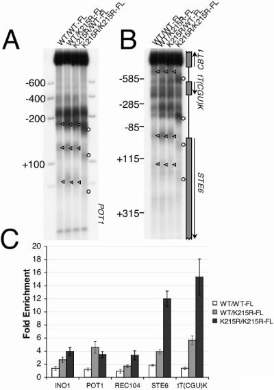 FIG. 6.