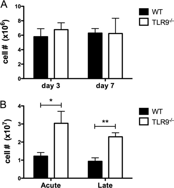 Fig 6