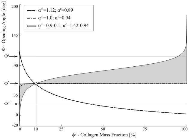 Fig. 12