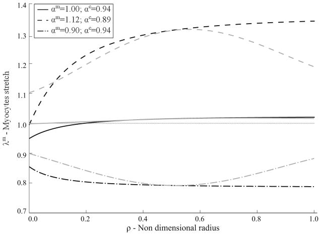 Fig. 11