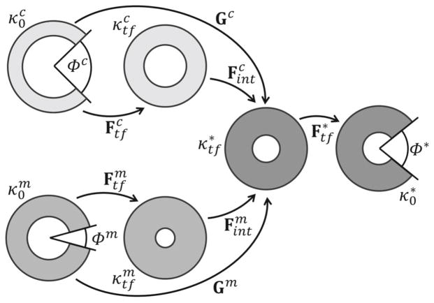 Fig. 2