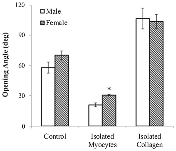 Fig. 13