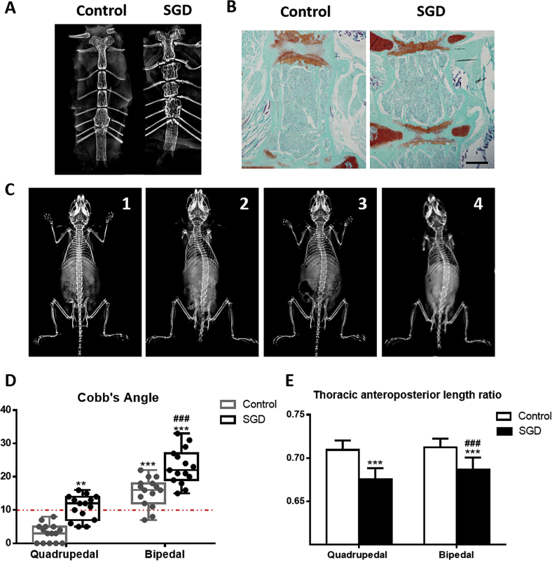 Figure 4