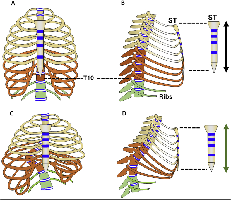 Figure 5