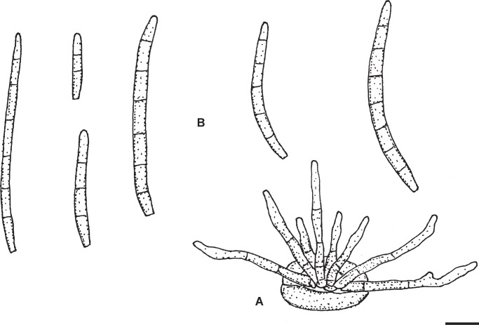 Fig. 5.