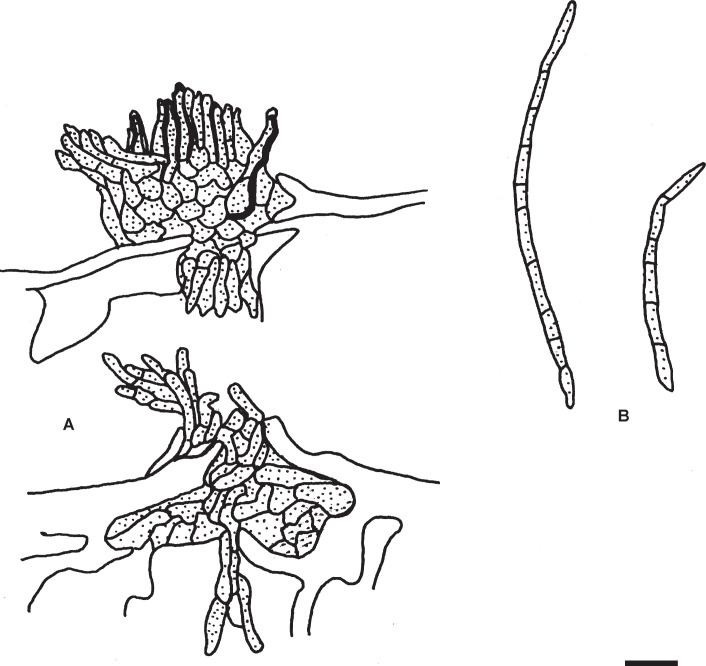 Fig. 9.