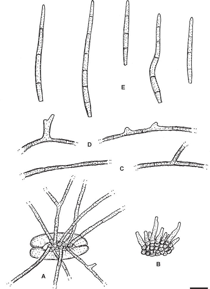 Fig. 22.