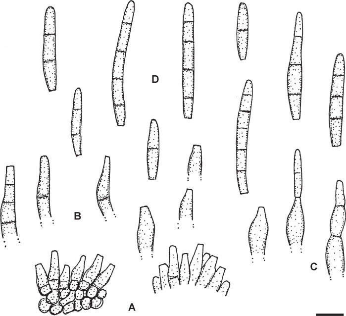 Fig. 3.