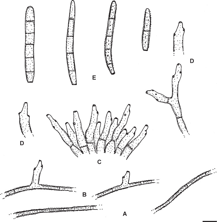 Fig. 20.