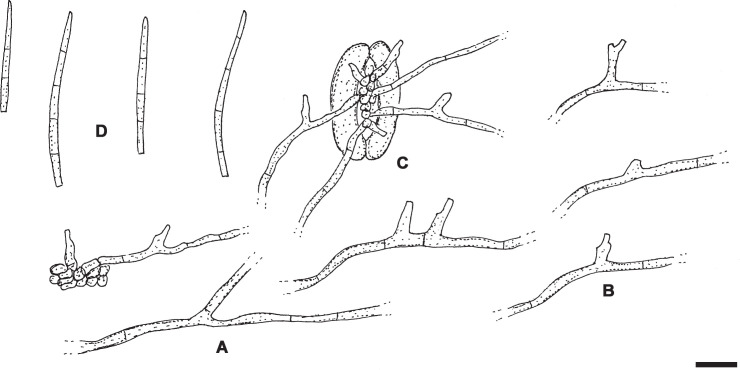 Fig. 16.