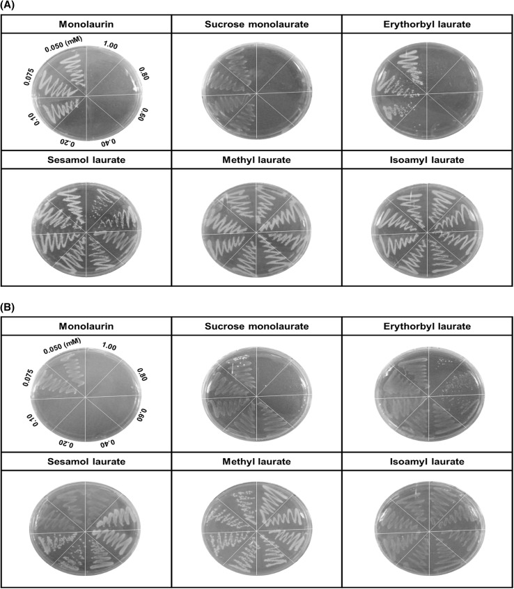 Fig. 4