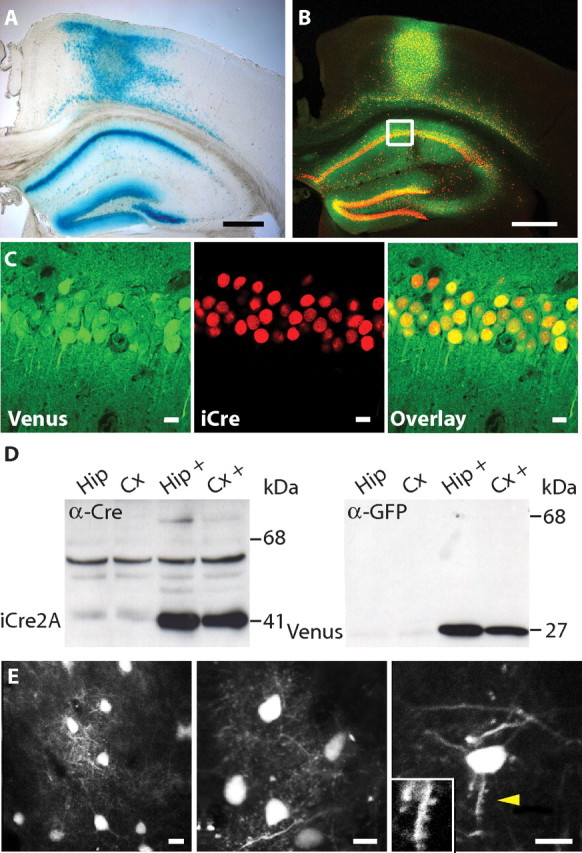 Figure 2.