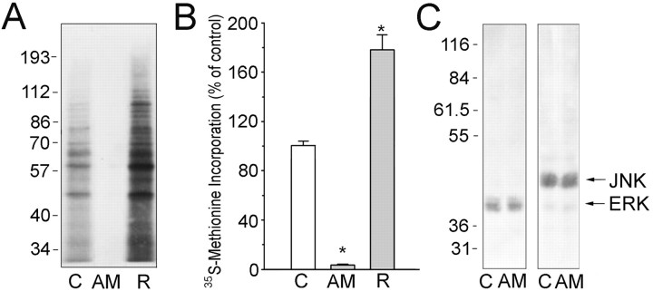 
Figure1.
