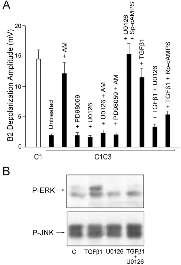 
Figure4.
