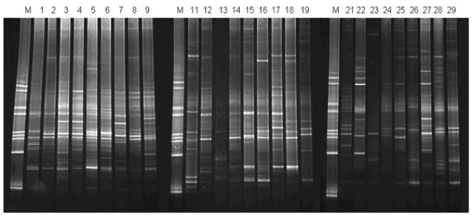 Fig. (1)