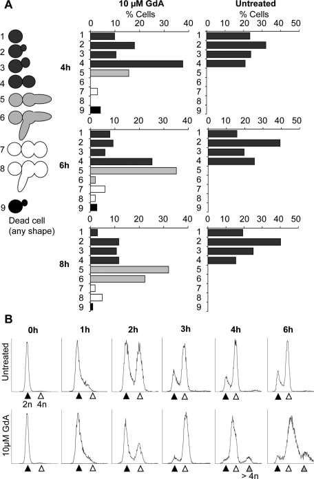 FIGURE 3: