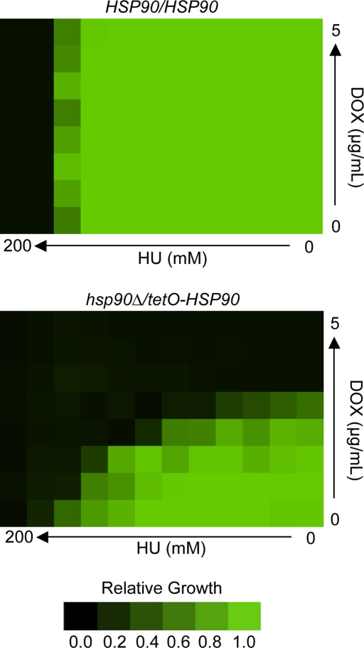 FIGURE 4: