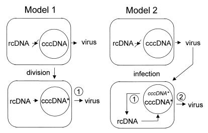 FIG. 8