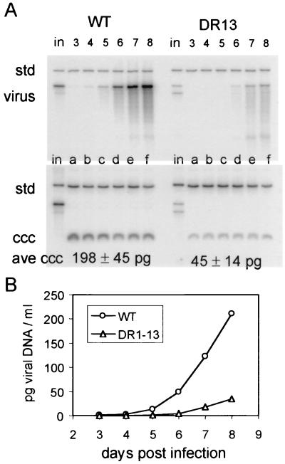 FIG. 6