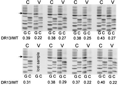 FIG. 7