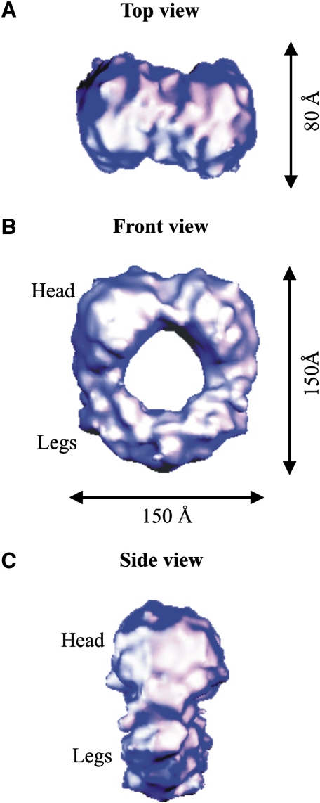 Figure 2