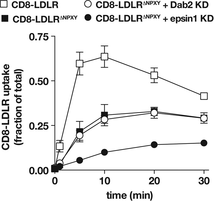 FIGURE 5: