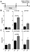 FIG 3