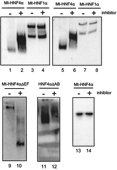 FIG. 6