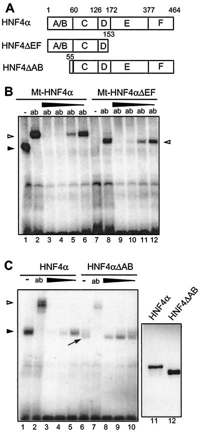 FIG. 5