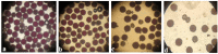 Figure 26