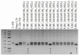 Figure 27