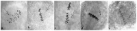 Figure 23