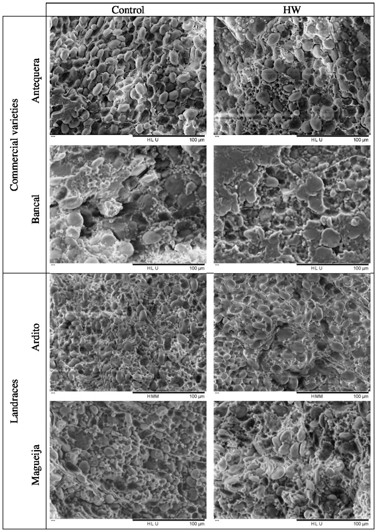 Figure 4