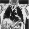 <i>Figure 1</i>