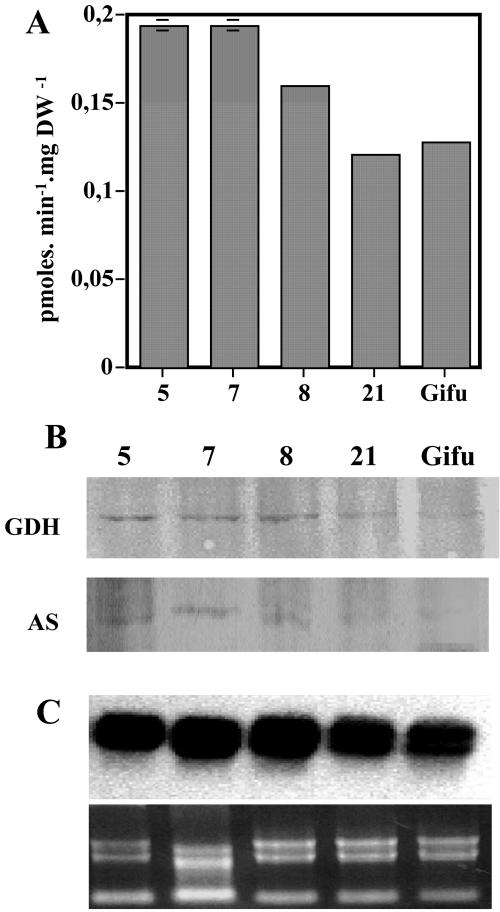 Figure 5.