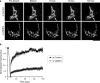 Fig. 3