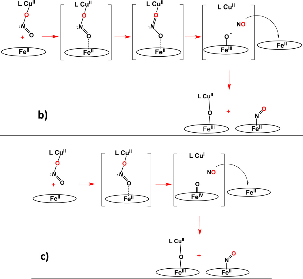 Scheme 5